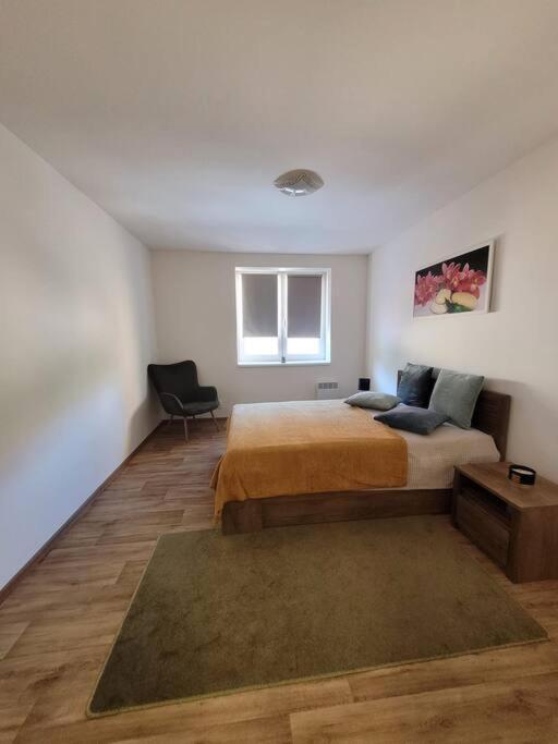 Apartament Utulny Byt 3+Kk V Destinaci Decin Zewnętrze zdjęcie